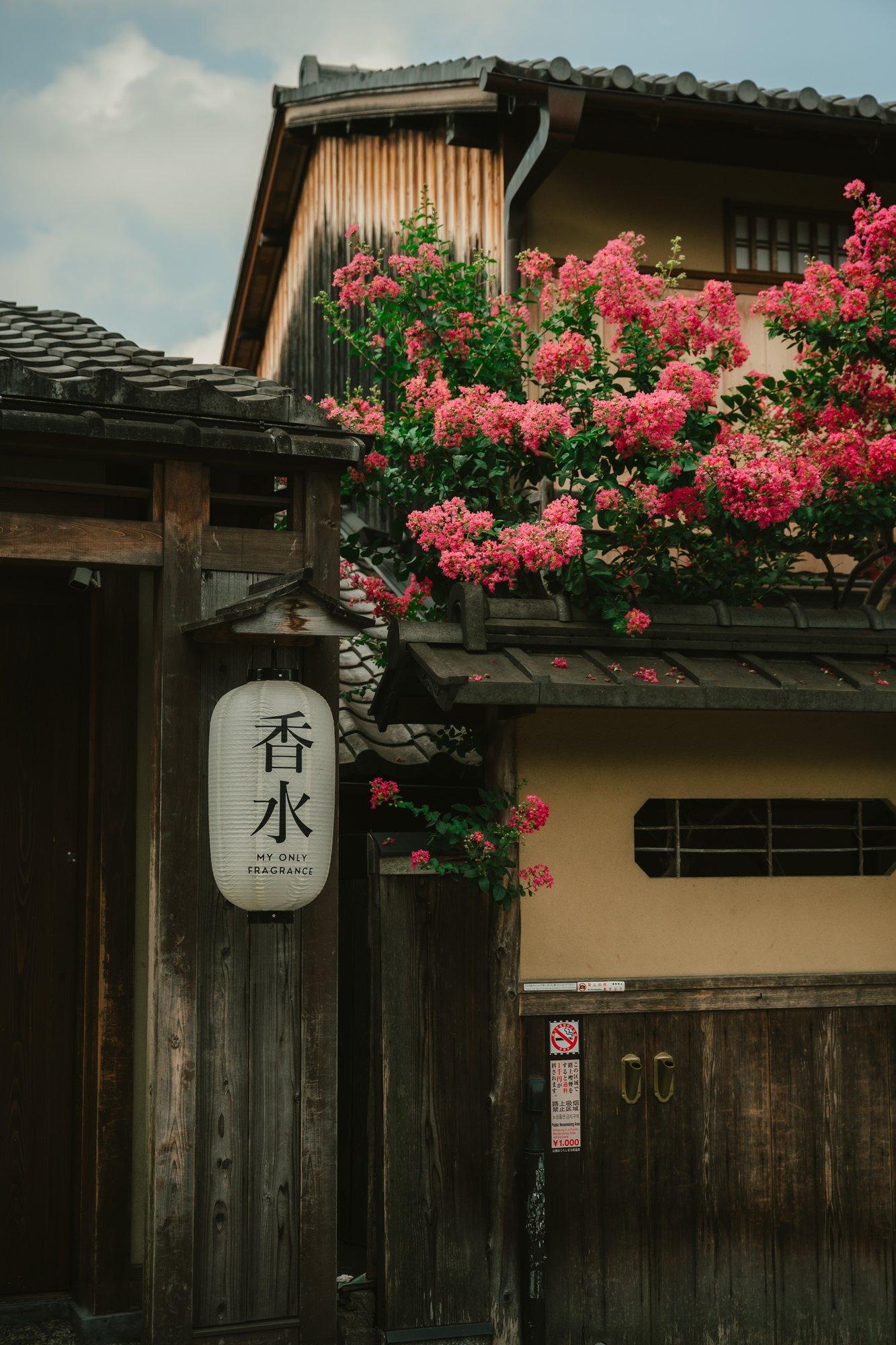 Blog